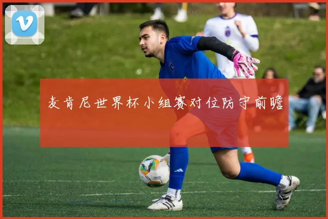 麦肯尼世界杯小组赛对位防守前瞻