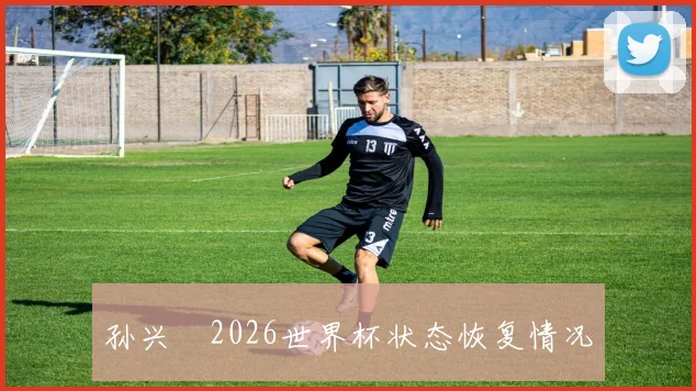 孙兴慜2026世界杯状态恢复情况