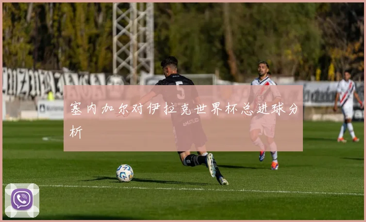 塞内加尔对伊拉克世界杯总进球分析