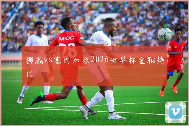 挪威vs塞内加尔2026世界杯金靴热门