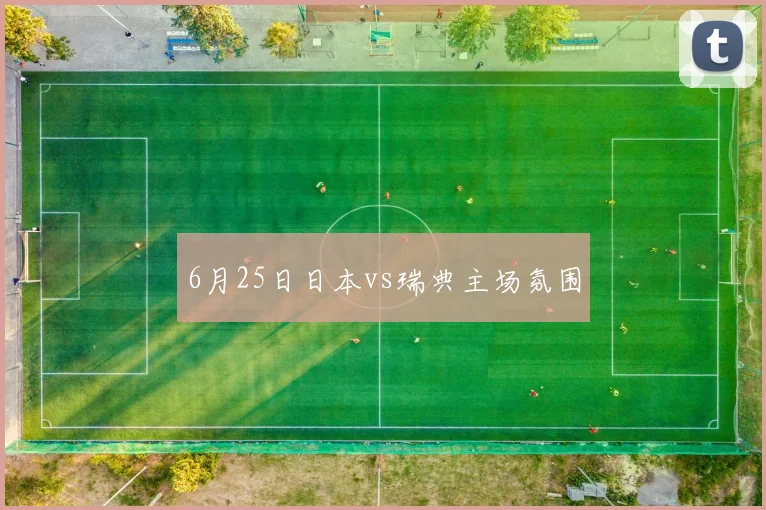 6月25日日本vs瑞典主场氛围