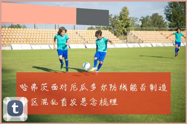 哈弗茨面对厄瓜多尔防线能否制造禁区混乱首发悬念梳理