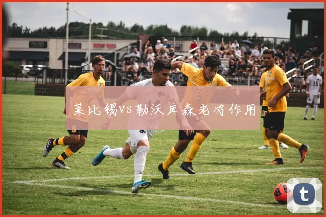 莱比锡vs勒沃库森老将作用