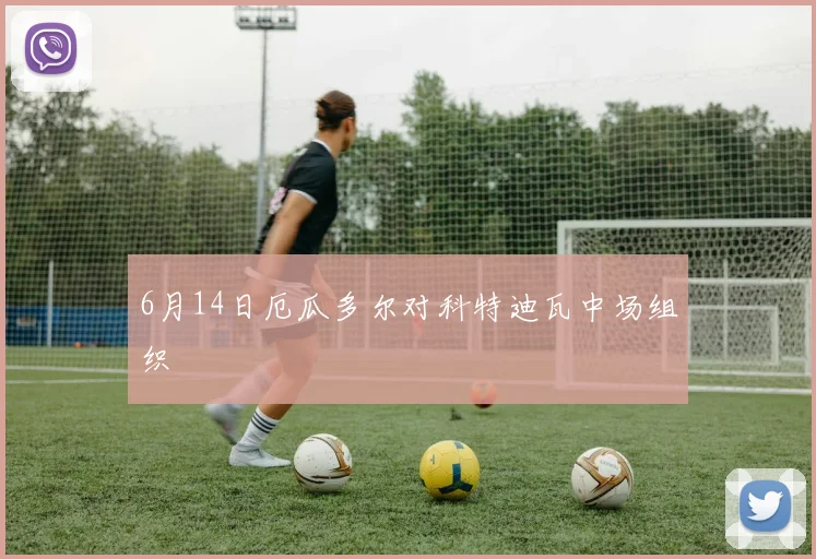 6月14日厄瓜多尔对科特迪瓦中场组织