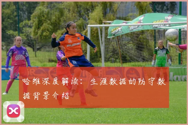 哈维深度解读：生涯数据的防守数据背景介绍