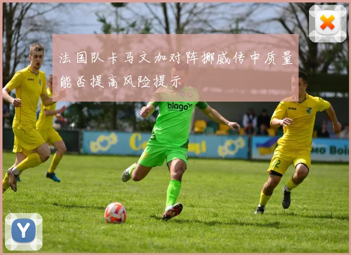 法国队卡马文加对阵挪威传中质量能否提高风险提示